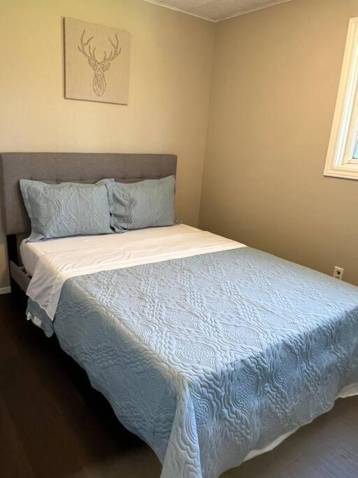 Family Friendly Cottage ☆Walking Distance To Beach Lions Head Dış mekan fotoğraf